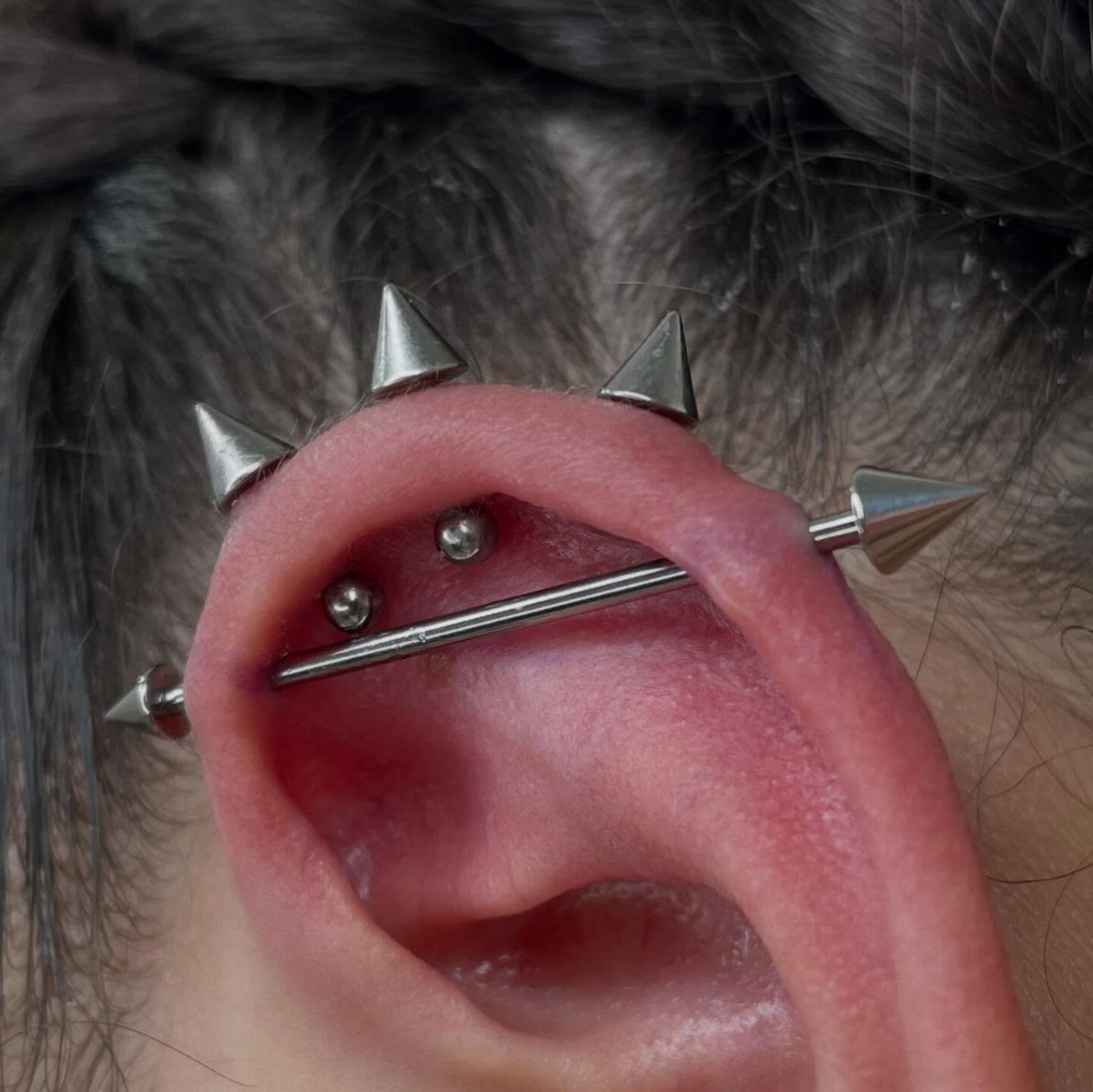 Human ear with multiple extreme silver spike and industrial bar piercings